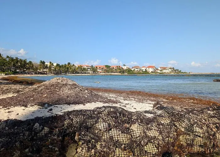 Paradise In Puerto Adventures * Puerto Aventuras